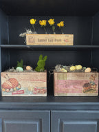 Easter Egg Dye Crate